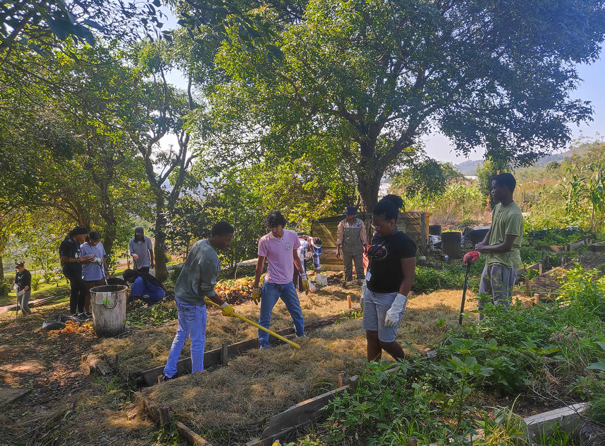 working in the permaculture garden